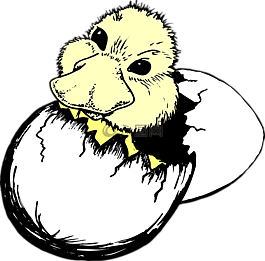 嬰兒,鳥(niǎo),鴨