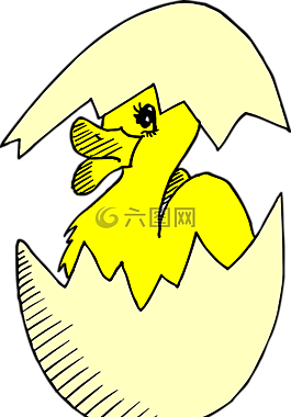 嬰兒,鳥(niǎo),鴨