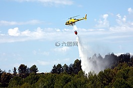 直升機,水上飛機,森林