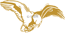 鹰,鸟,黄金