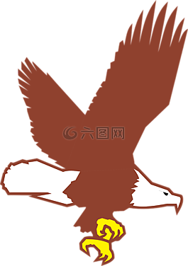鷹,鳥,飛行