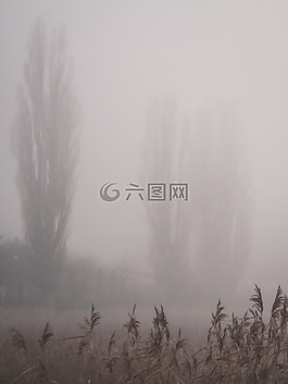 霧,視圖,性質(zhì)