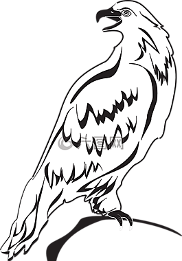 回,鷹,鳥