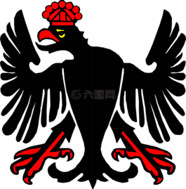 鷹,鳥,外套