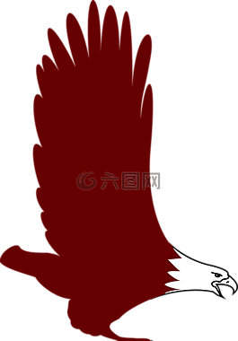 鷹,鳥,飛行