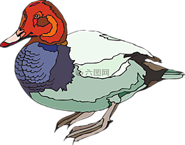 紅色,綠色,藍色