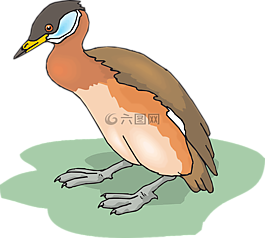 鳥,鴨,草