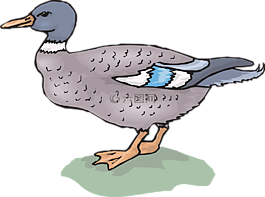 鳥,鴨,草