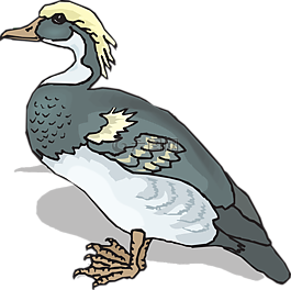 藍色,黃色,鳥