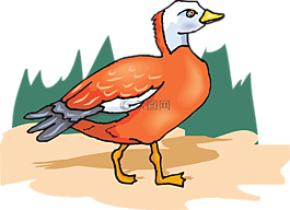 樹(shù),橙色,鳥(niǎo)