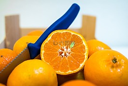柑橘,橘子,水果