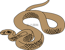 蛇,棕色,爬行動物