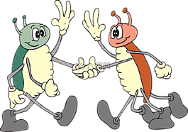 握手,bug,波