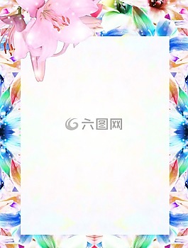文具,豐富多彩,蘭花