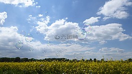 全景,性質(zhì),景觀