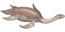 長,頸部,生物