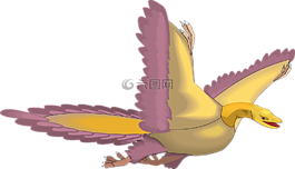 鳥,飛行,翅膀