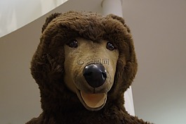 熊,泰迪熊,玩具熊