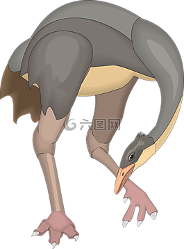 鳥,翅膀,古代