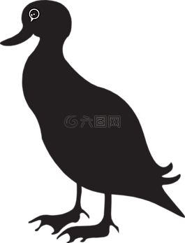 鴨,動物,農(nóng)場