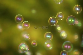 濕,水,肥皂泡沫