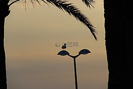 马略卡岛,海鸥,海