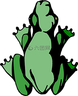 青蛙,兩棲類,雨林