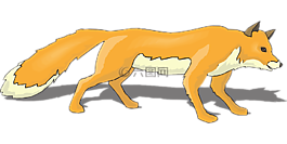 白,陰影,橙色