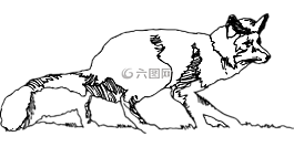 素描,草,?？怂? title=
