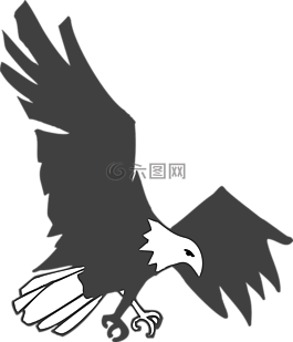 鷹,黑,白