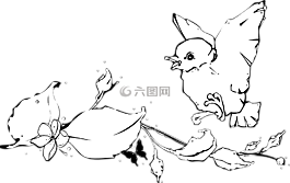 鳥,白,嬰兒