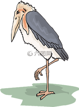 鳥,翅膀,鸛