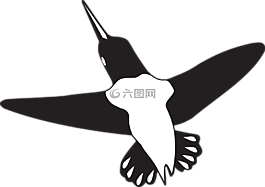 鳥,飛行,翅膀