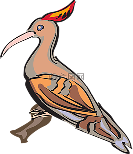 鳥(niǎo),枝杈,翅膀