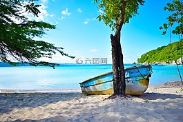 人體內(nèi)的水,哥斯達(dá)黎加,海灘