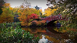 橋,紐約市,美國(guó)