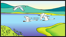 景觀,鳥(niǎo),白