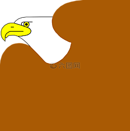 鷹,鳥,羽毛