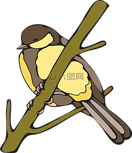 黃色,鳥,枝杈