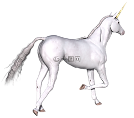 獨(dú)角獸,幻想,仙女