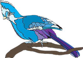 鳥,坐,自然