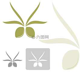 橄欖,奧斯,橄