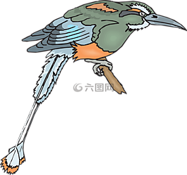 鳥,枝杈,翅膀