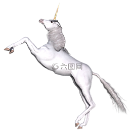 獨(dú)角獸,幻想,仙女