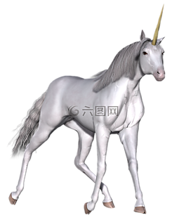 獨角獸,幻想,仙女