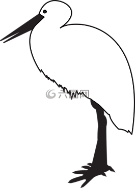 鳥,動物,鸛