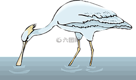 水,鳥,琵鷺