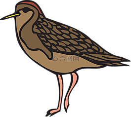 鳥,風(fēng)格,翅膀