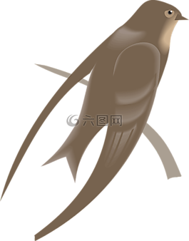馬丁,鳥(niǎo),枝杈