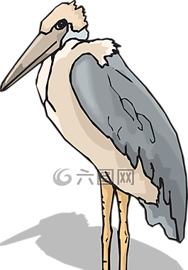 鳥,翅膀,腿